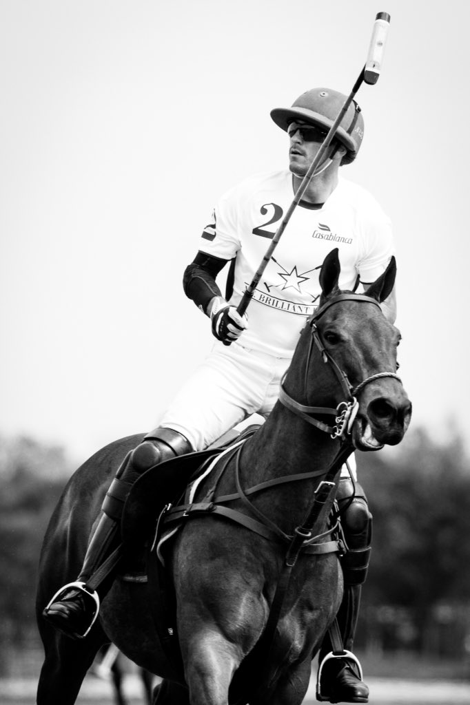 NicRoldan's tweet photo. My #PonyOfTheMonth this time is Prima, read all about her here: https://t.co/ksjewuOrCR #Polo #Pony #Horse https://t.co/tzqm7Ws1bp