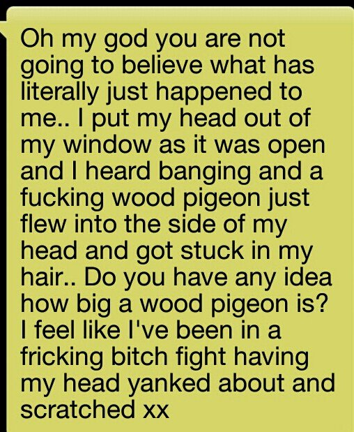 dereklumb.bsky.social tweet media