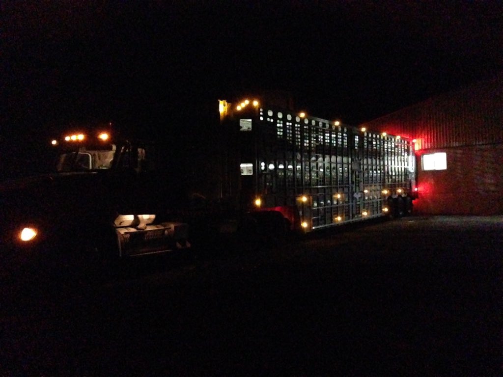#ontpork#HarwilMobileFeeds Another load on the road.