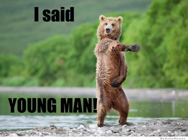 Bearshare tweet media