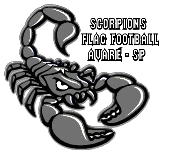 ScorpionsFlag's tweet photo. Scorpions flag football estão na final do paulista, a final será dia 22/11 em Avaré . Inf :https://t.co/4oorBmxKZo https://t.co/Th8Ndavv6U