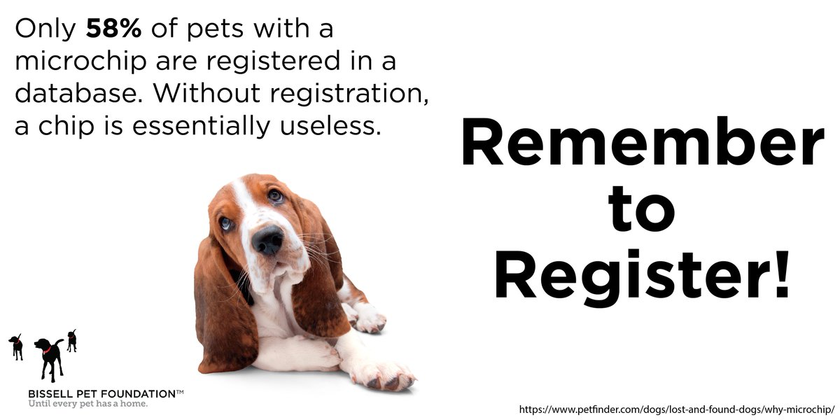 BISSELLPets's tweet photo. Is your pet's microchip registered and up-to-date? Double check your pet's chip today and remember to register! https://t.co/Mwid3poPot