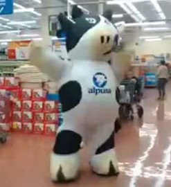 This Store Mascot Started Dancing. And Then? I Can’t Stop Laughing!
twnewsjp.com/page.php?id=358