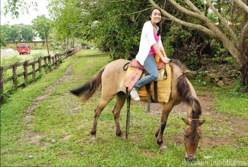 WP_Problem's tweet photo. What I feel like riding my horse vs. riding the school horses. #EqStruggles https://t.co/EeL2oWCPxA