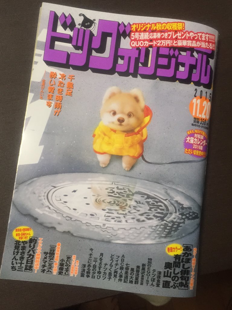 夜のおしらせ。ただいま発売中のビッグコミックオリジナル本誌に「まどいのよそじ」がいつもより少し短い６ページでゲスト掲載されています。今回は、三度目の登場となる北関東ラビッツ・永井のお話です。どうぞよろしくお願いします。 