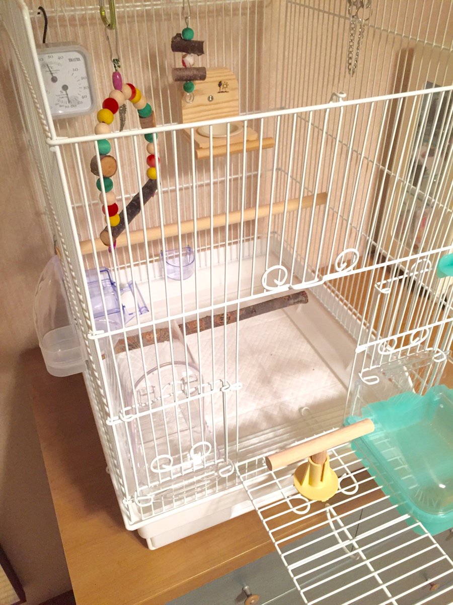 文鳥 ケージ レイアウト Lisolanche