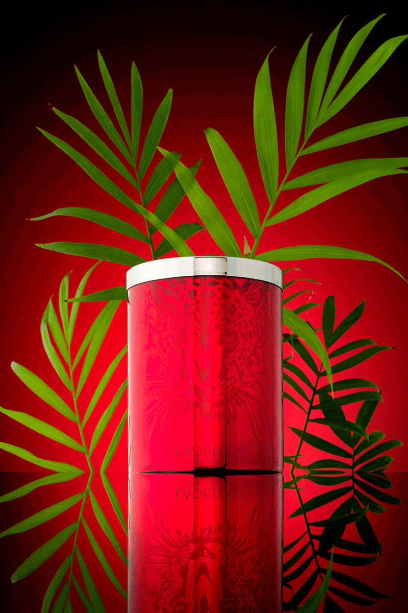 vilahermanos's tweet photo. Nueva colección de velas Africa inspiration para estas navidades #candles #africa #navidad #inspiration #ladenac https://t.co/rIwo5jkFhR