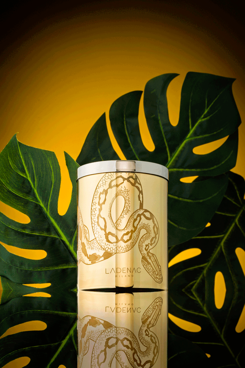 vilahermanos's tweet photo. Nueva colección de velas Africa inspiration para estas navidades #candles #africa #navidad #inspiration #ladenac https://t.co/rIwo5jkFhR