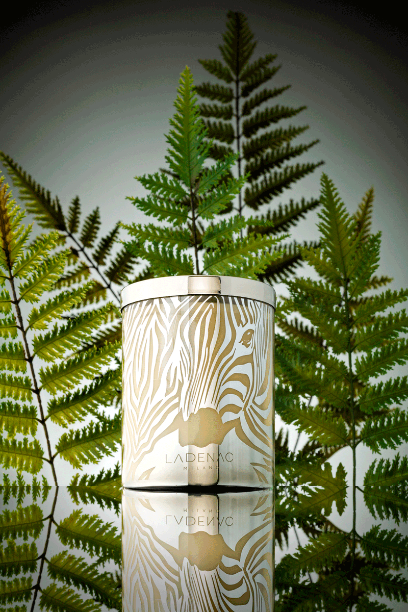 vilahermanos's tweet photo. Nueva colección de velas Africa inspiration para estas navidades #candles #africa #navidad #inspiration #ladenac https://t.co/rIwo5jkFhR