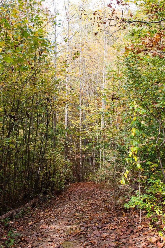 BaxterTrails's tweet photo. Go outside and enjoy the trails today! 2 days until #BaxterFallFestival Can you find this peaceful fall color place? https://t.co/zi76BQ21kn