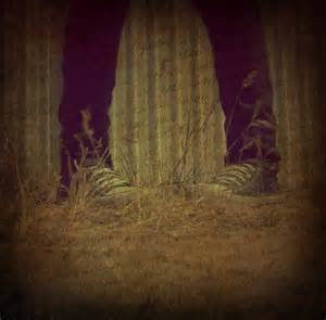 SHARON(happy kabey) tweet media