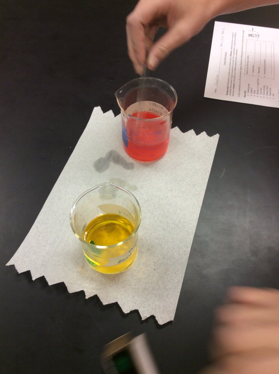 FreidhoffBio's tweet photo. Students setting up an osmosis lab today. #concentrationgradient https://t.co/bfXI20oAaQ