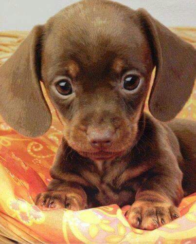 h_kittrell's tweet photo. Hello there  https://t.co/ThKYiwEmpR