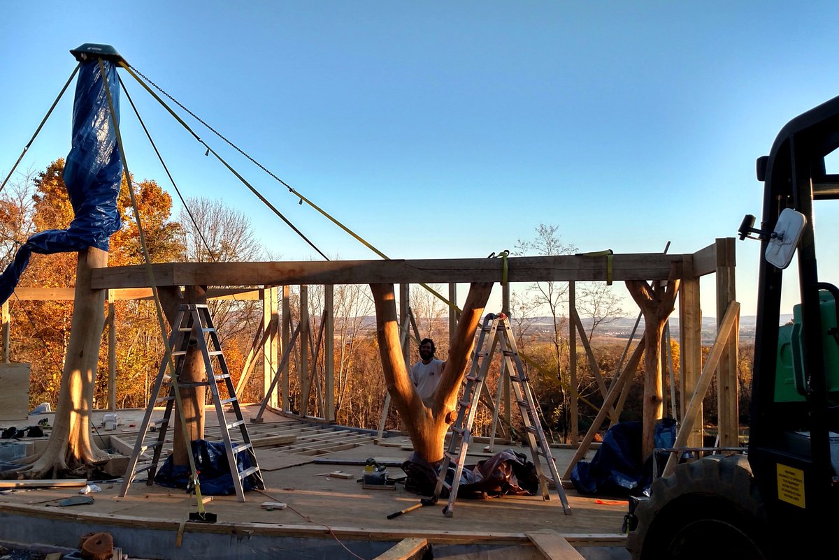 buildnaturally's tweet photo. #TreeColumns going up
harvested from the property
#ILoveNaturalBuilding! https://t.co/xSd5jXGgiX