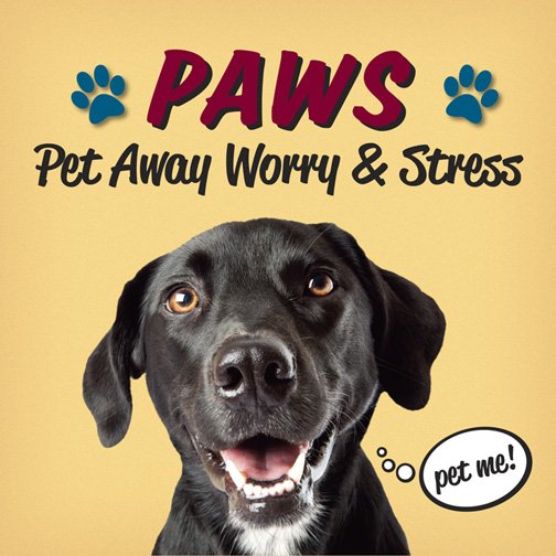 PAWS today on West Bank 11:30am-1:30pm in the Law School z.umn.edu/woodstock @UofMNLawSchool @UMNMiddlebrookH