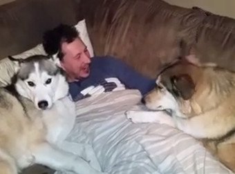 MMacturlough's tweet photo. When It Comes To Cuddles, This Jealous Dog Can't Stand It When She's Not The Star
https://t.co/5ud7NxtMir https://t.co/FbCnmpyITc