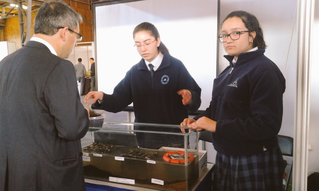 Alumnnas de la Escuela Arturo Prat investigan sobre cultivos salmonidos en el seno de #Reloncavi #Educación Pública.