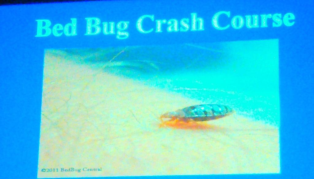 Time for a crash course on bed bugs with <a href="/BedBugCentral/">Bed Bug Central</a>