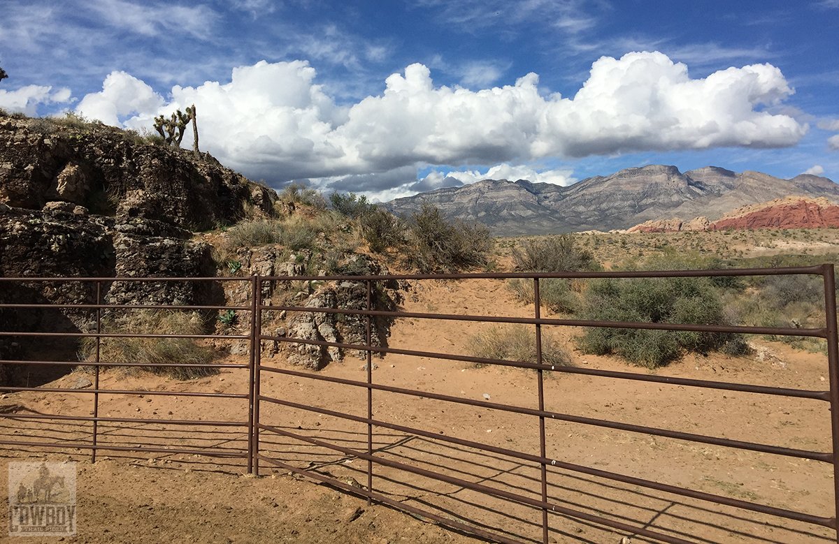 Cowboy Trail Rides tweet media