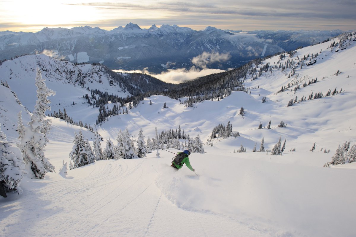 LeaveTownNow's tweet photo. A taste of 4133 #verticalfeet &amp; 2800 acres of powdery terrain @revelstokemtn #leavetown https://t.co/x4IDqAyojO https://t.co/pWpS7eUXSC