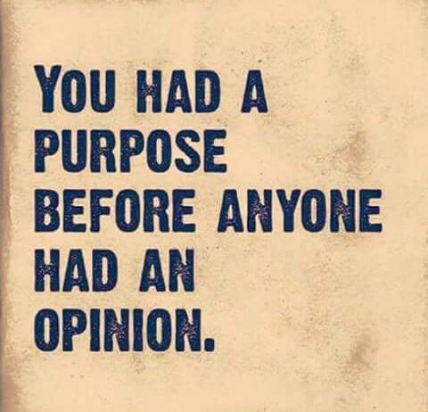 J_Neese's tweet photo. So when the insults fly
This is why I don't mind
& you don't matter.........
#LadyPurpose https://t.co/bitg0c9U8l