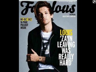 Louis cover