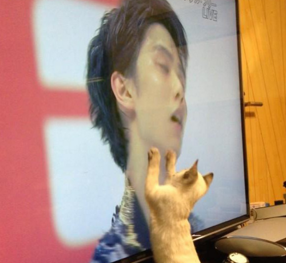 One cat’s impossible love affair with ice skating world champion Yuzuru Hanyū
twnewsjp.com/page.php?id=72