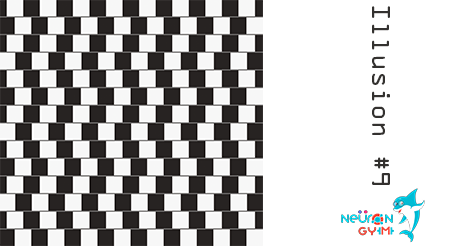 neurongym's tweet image. The gray lines in between the rows of white and black squares seem to converge, but they are actually parallel.