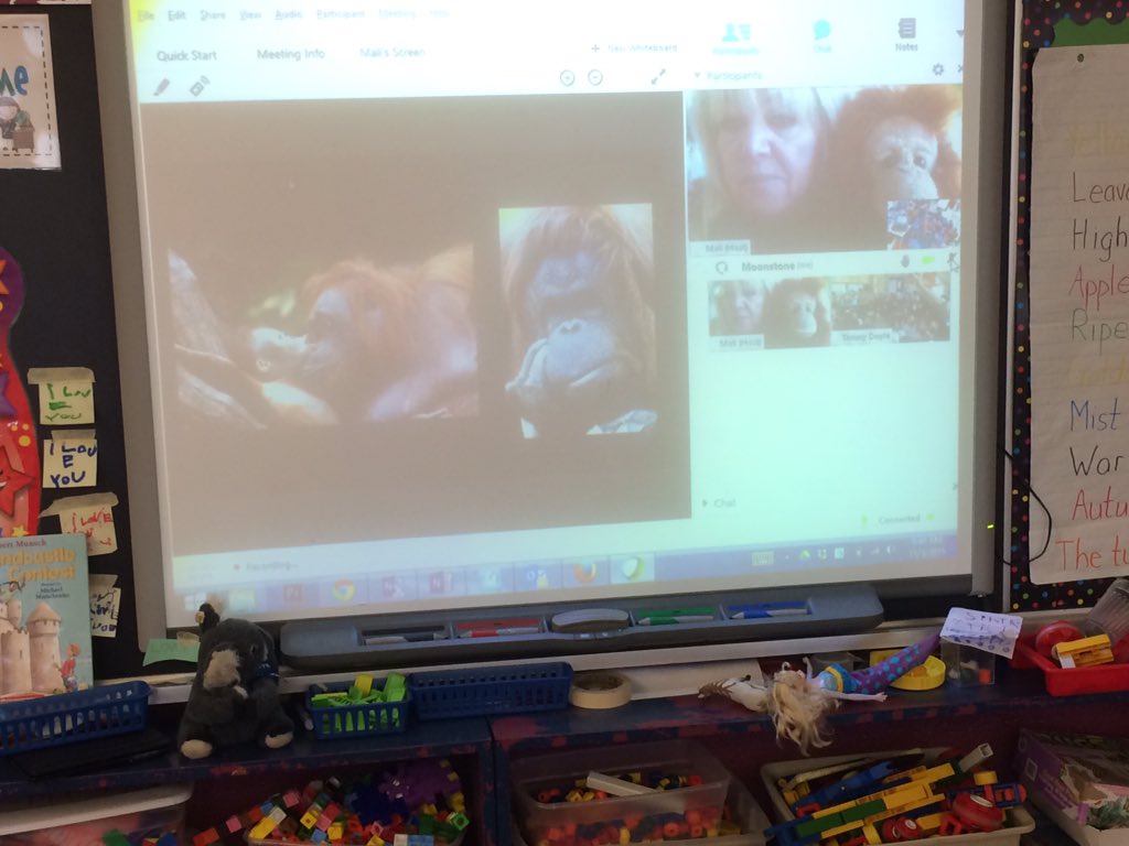 moonstonek1's tweet photo. Learning to be Ecco Warriors with @takingitglobal https://t.co/VuNfw06apU