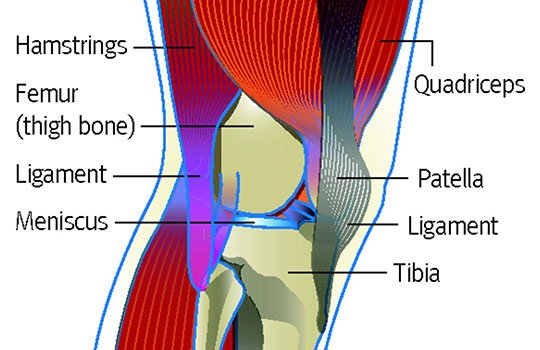 bmj_latest's tweet photo. How to diagnose patellofemoral pain, which may be associated with patellar malalignment https://t.co/BcJ8G04lvD https://t.co/jWJNHhwMo5