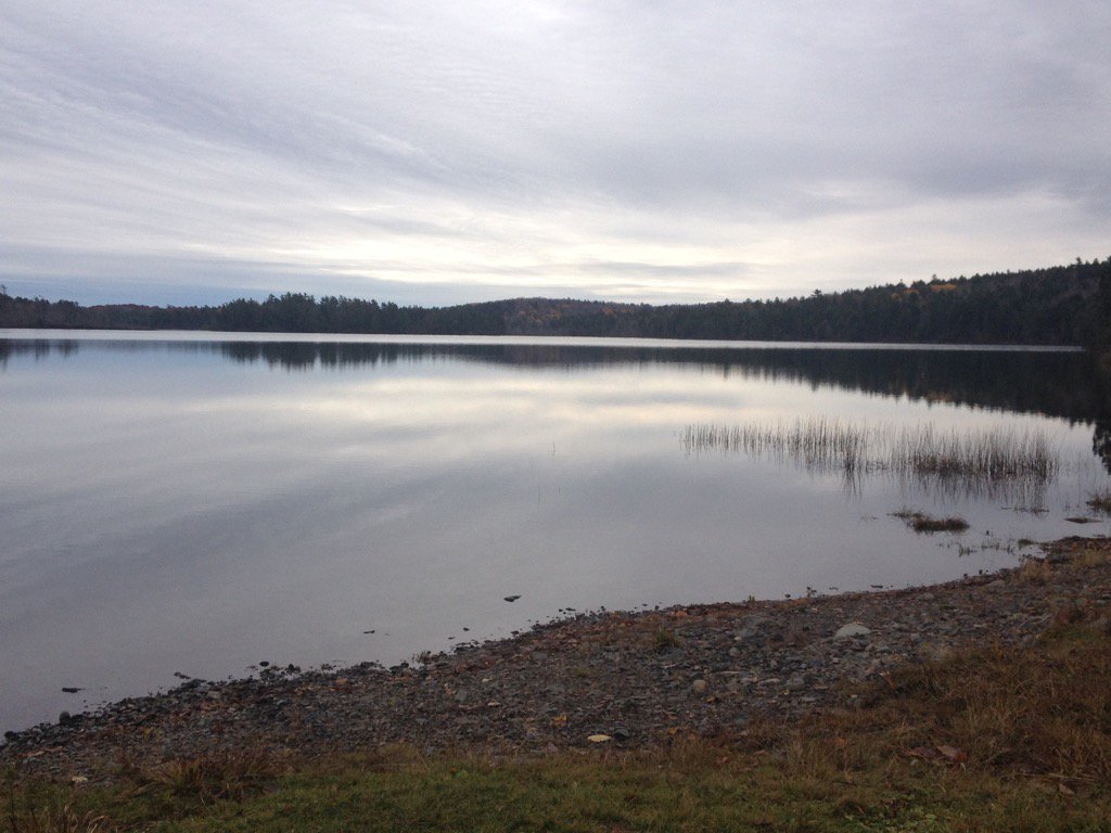 foransue's tweet photo. Shades of November grey #trailwalking #secondlake @OurOwnBackyard https://t.co/dXf6dx6HvK