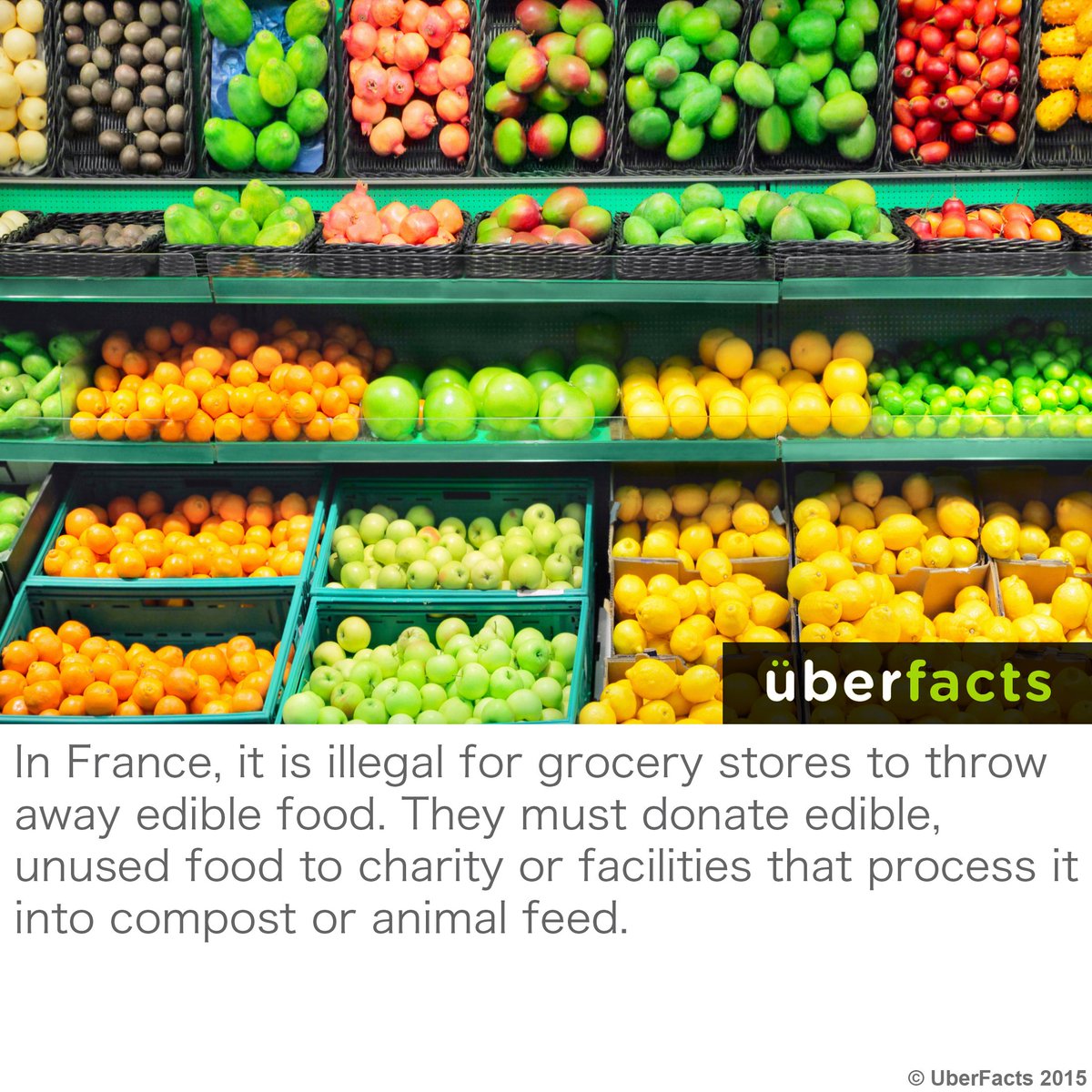 UberFacts's tweet photo. Well, that's cool... https://t.co/4p7gXKSfQ5