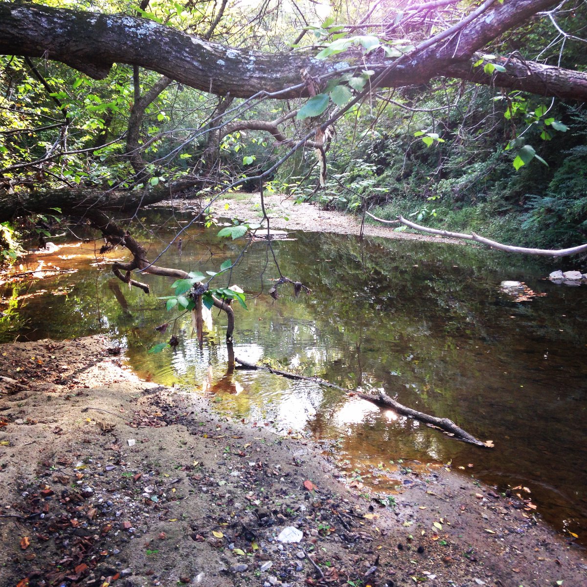 Many Grant Opportunities and Exciting Upcoming Events in Proctor Creek! Check it out! -> ow.ly/UhWrN