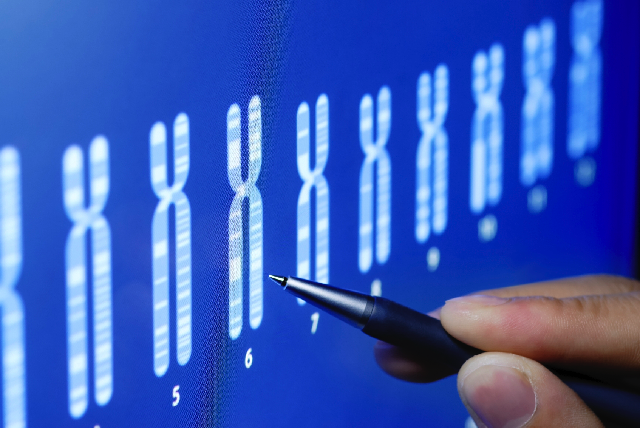 crownbioscience's tweet photo. New treatment targets #cancers with particular #geneticsignature https://t.co/sUuyoUG3dB @NCRI https://t.co/Smi094EIrr