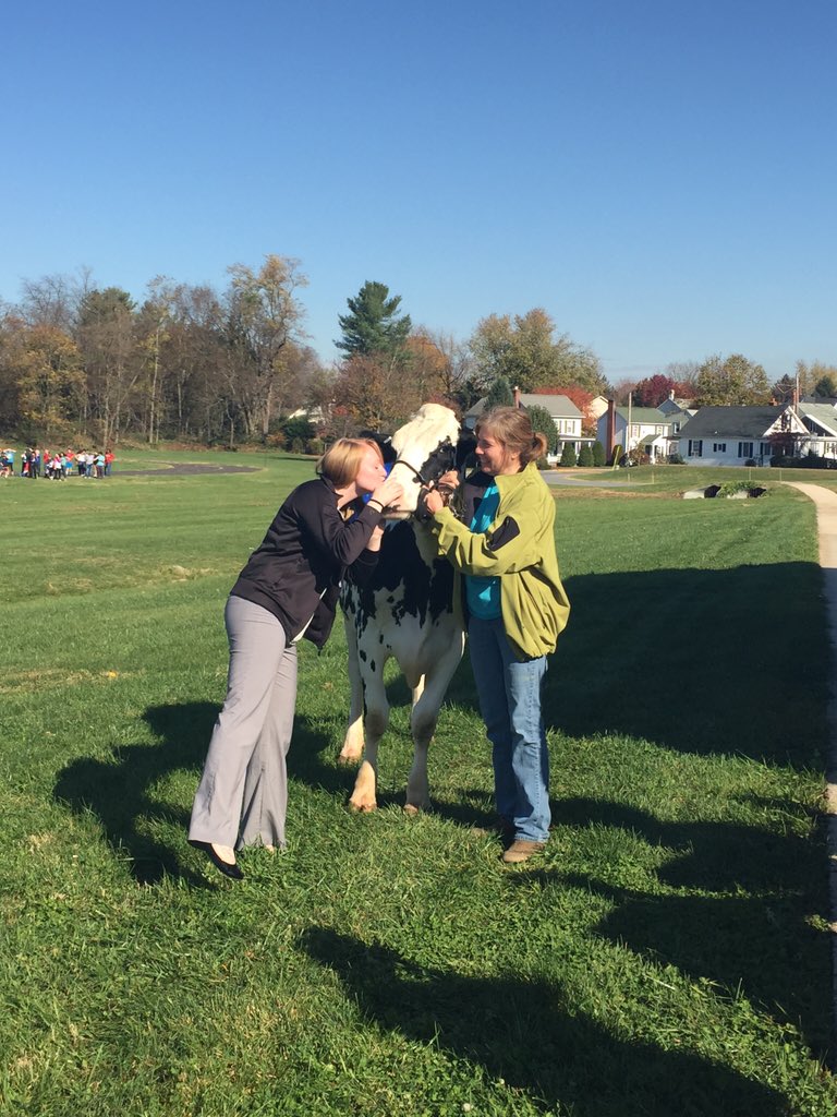 Kissin' cows for Race For Education <a href="/WMSLions/">Walkersville Middle</a>