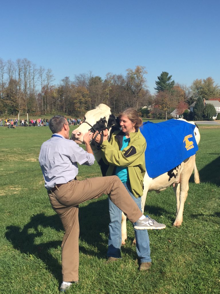 Kissin' cows for Race For Education <a href="/WMSLions/">Walkersville Middle</a> <a href="/FCPSMDSuper/">Dr. Terry Alban</a>