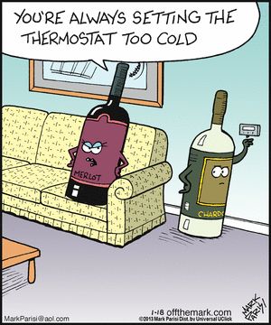JMiquelWine's tweet photo. When Red &amp; White Argue...
About the #Wine Serving Temperature ! LOL
@winewankers #WineOclock 😄🍷😄 https://t.co/SGWhJYP8D0