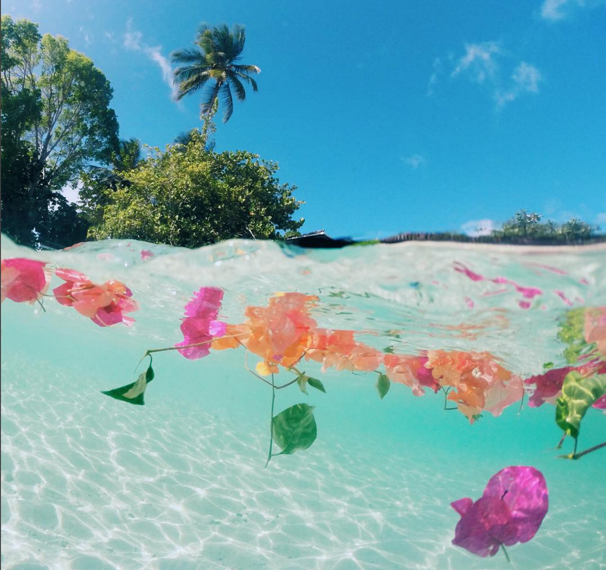 Barbados's tweet photo. How Beautiful! https://t.co/lBRgtlvXzs