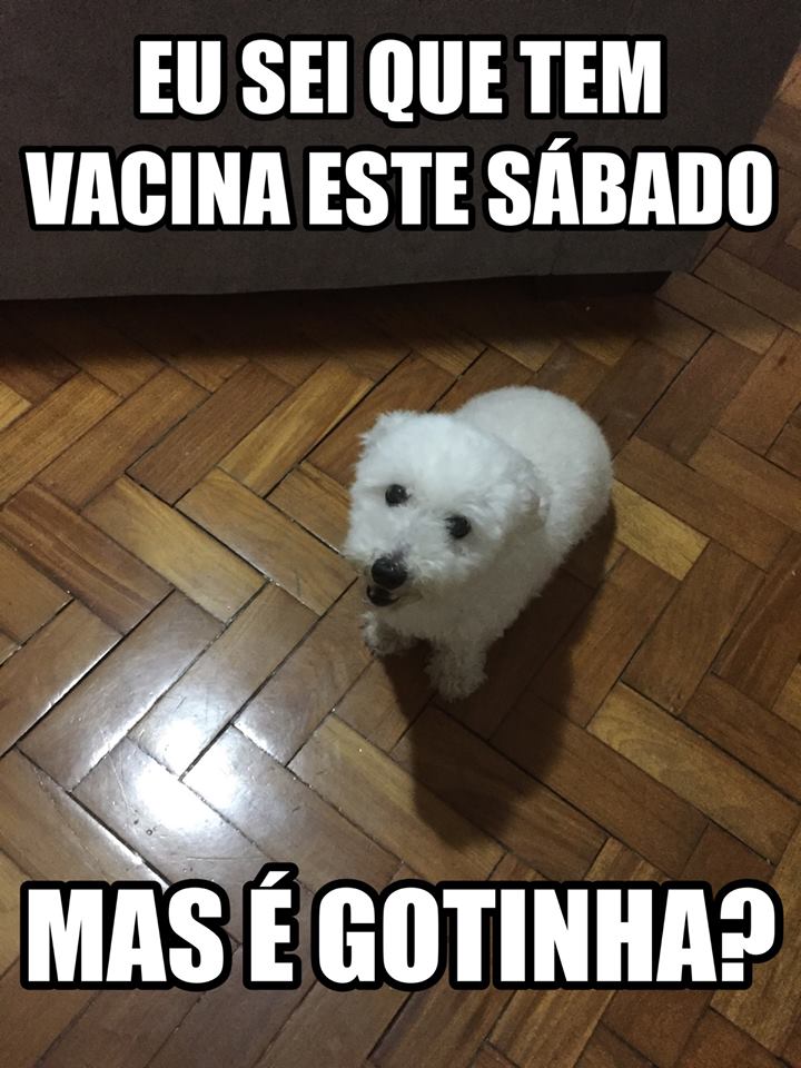 Centro de Operações Rio tweet media