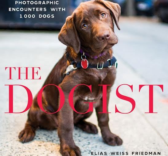 pettalkoregon's tweet photo. Photographer known as '@thedogist ' to appear at Furever Pets tonight. #PDX
https://t.co/Ou0rBgMBYV https://t.co/bhGcwyogf3
