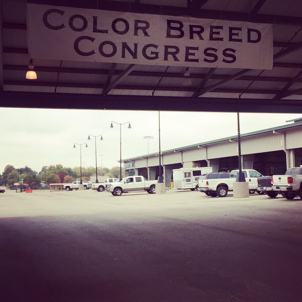 KelseyHellmann's tweet photo. Welcome to CBC! #colorbreedcongress #ptha #horseshowoffice https://t.co/XszoZQdXPM