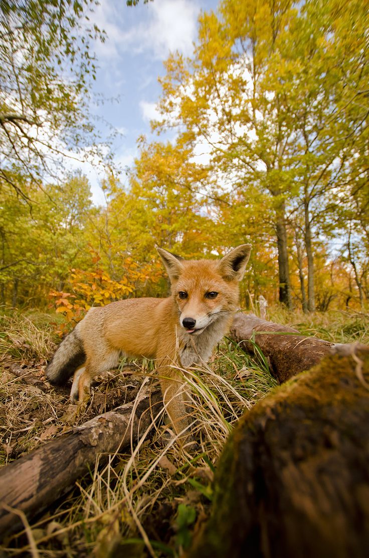 MARXISM IS ARMED WITH THE INSUPERABLE POWER OF HISTORICAL FORESIGHT