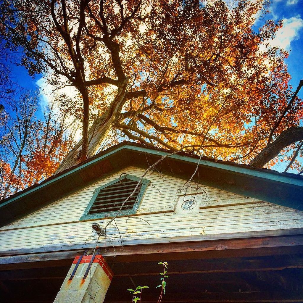 Great day for a walk in scenic Pittsburgh!  jeremyhainesnyc.com/2015/11/05/gre…