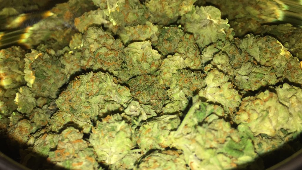 HelloMyStrainIs's tweet photo. Hello My Strain Is Green Crack
@BuckNasty63 @sinister454 @JavieGtruGame @BudPictures @DankPost @MassRoots @WEEEDP0RN https://t.co/UhrBzK2Qis