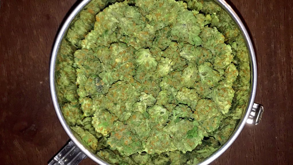 HelloMyStrainIs's tweet photo. Hello My Strain Is Green Crack
@BuckNasty63 @sinister454 @JavieGtruGame @BudPictures @DankPost @MassRoots @WEEEDP0RN https://t.co/UhrBzK2Qis