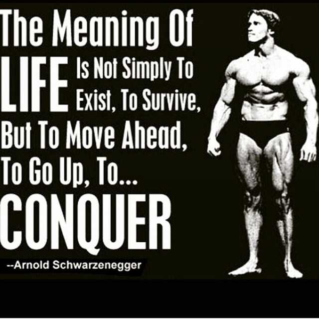 Gym Freaks (@thegymfreaks) on Twitter photo 