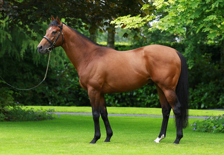 Coolmore Stud 2016 aşım ücretleri