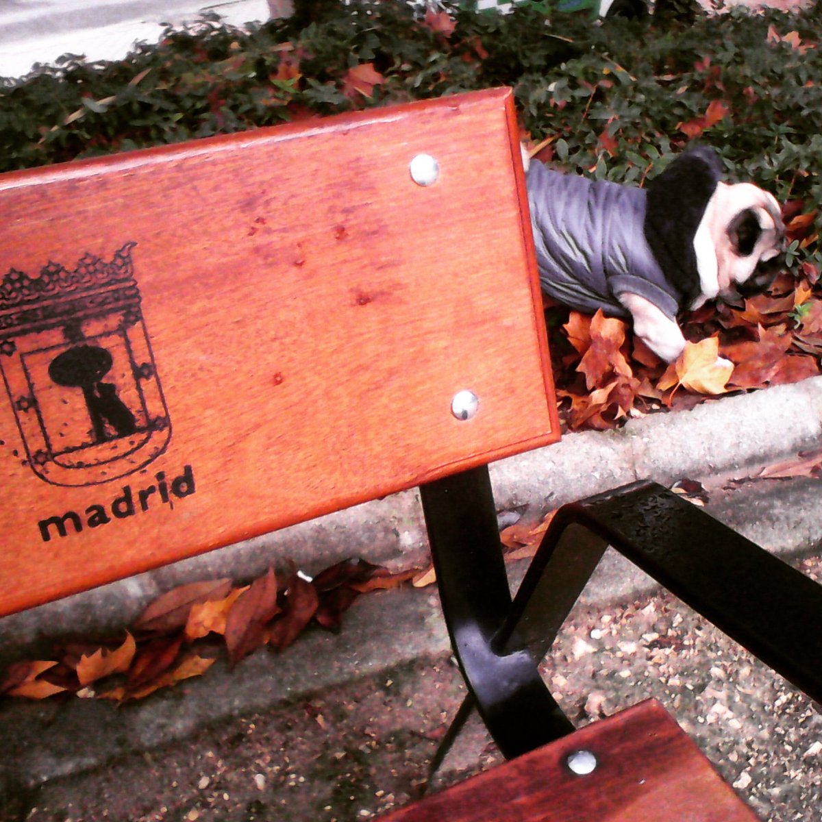 FranLara__'s tweet photo. Sin estos momentos, no valoraría  otros ... #LovePapi #LoveMadrid https://t.co/Z99DyOOj7X