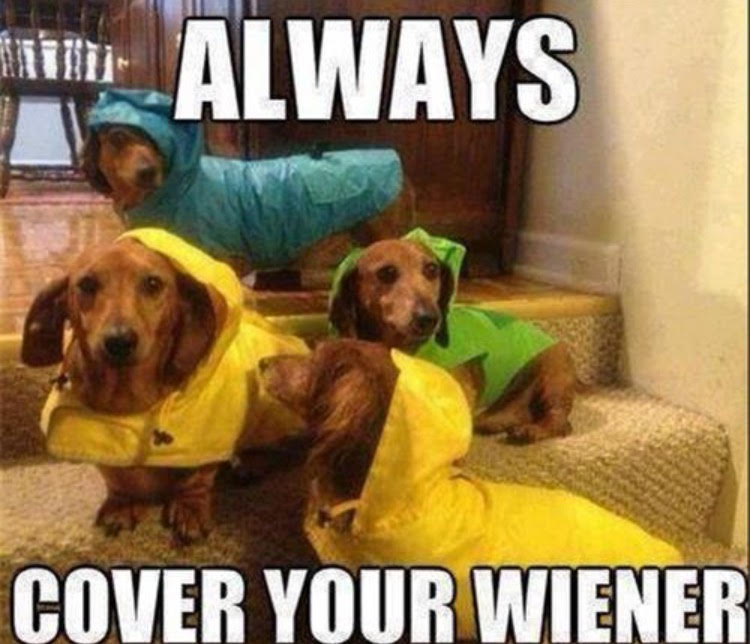 TakeControlPHL's tweet photo. Not the only kind of wiener you should be covering! Always wear a condom to prevent STDs. #TakeControlPhilly https://t.co/2g1lZojKS7
