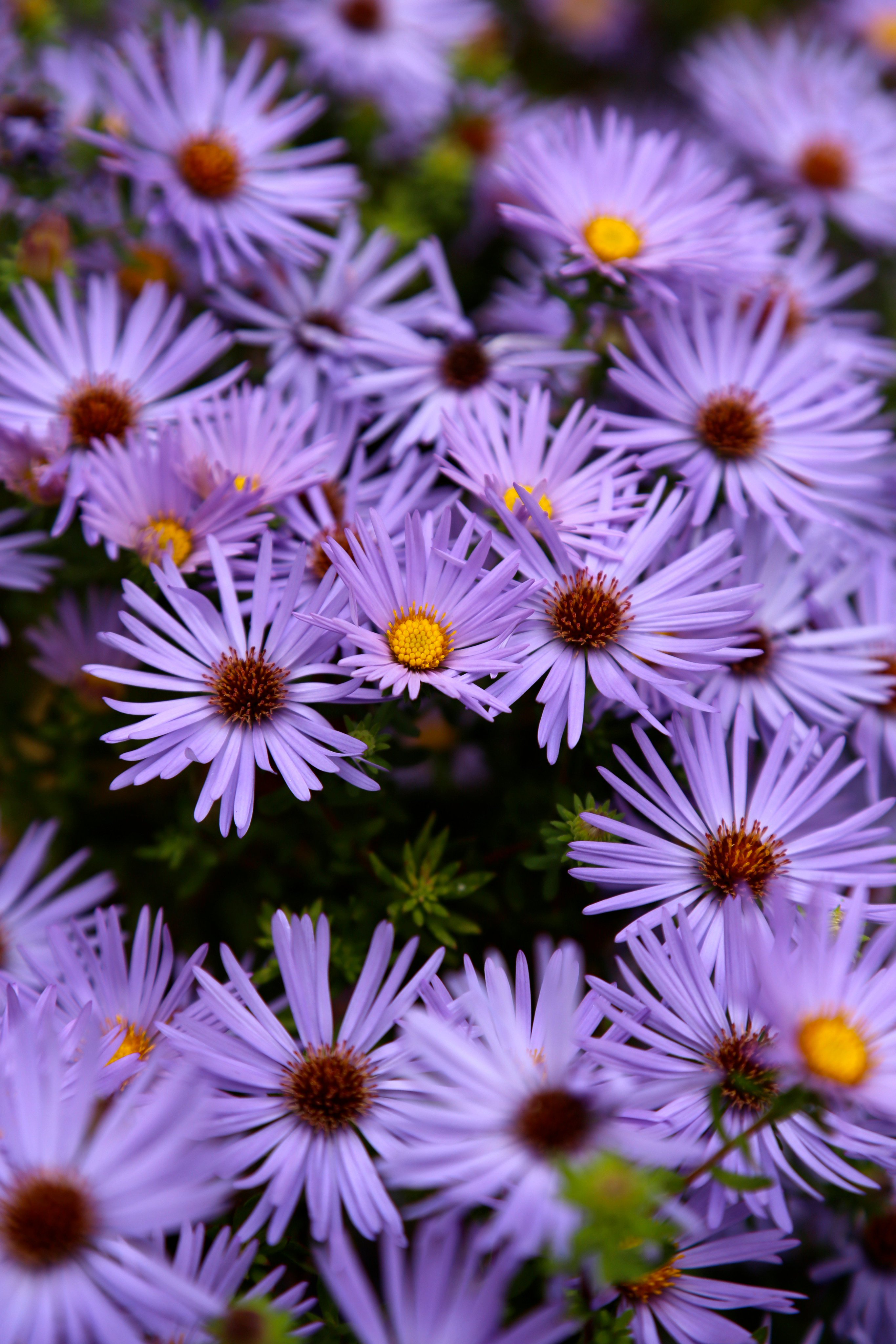 LMS Greenhouse (lms_greenhouse) / Twitter